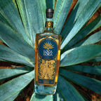 ANEJO