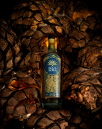 ANEJO
